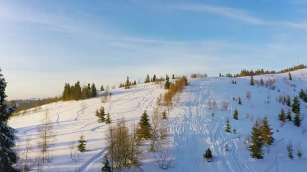 Ein Mann, der auf einem Schneemobil sitzt, fährt schnell auf einem schneebedeckten Pfad zwischen kleinen Fichten zu einem Wabenturm. — Stockvideo