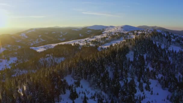 Hoher schneebedeckter Berg mit immergrünen Tannen an einem sonnigen, kalten Tag — Stockvideo