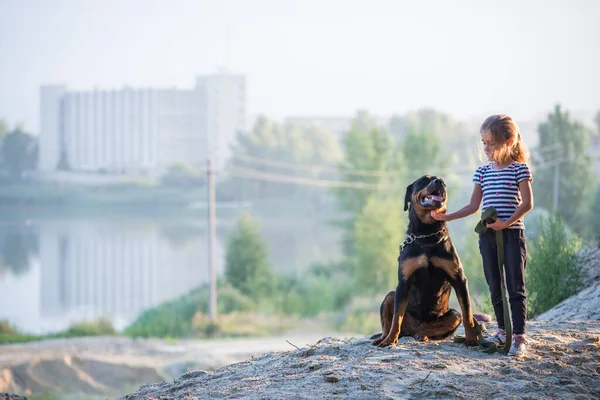 Kleines Mädchen und Rottweiler Hund kuscheln am Rande einer Klippe und genießen einen warmen Morgen im Wald — Stockfoto