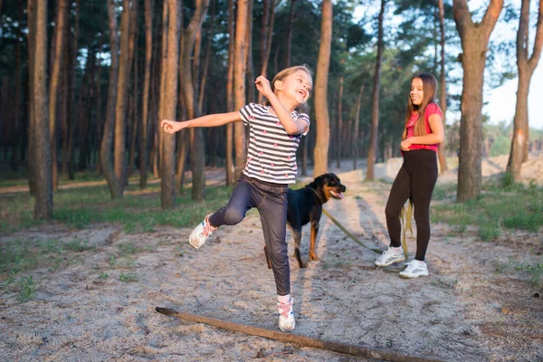 Chica saltando sobre una rama en una mañana soleada en el bosque y en el fondo hermana con un perro —  Fotos de Stock