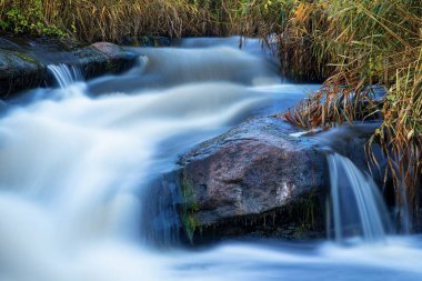 Nehir, altın sonbaharda çimlerle kaplı beyaz ıslak taşların arasında akar.