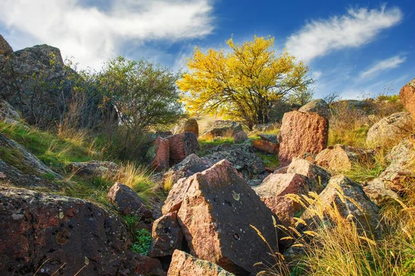 Linda vegetação amarelada e pedras cobertas de líquen e moss colinas na pitoresca Ucrânia — Fotografia de Stock