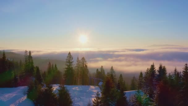 Vallée sinueuse au-dessus des montagnes enneigées et des forêts vertes — Video