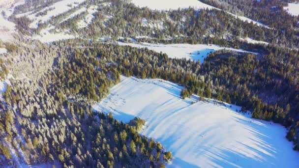 Pistes de montagne couvertes d'arbres de Noël luxuriants et de neige blanche avec un endroit pour skier — Video