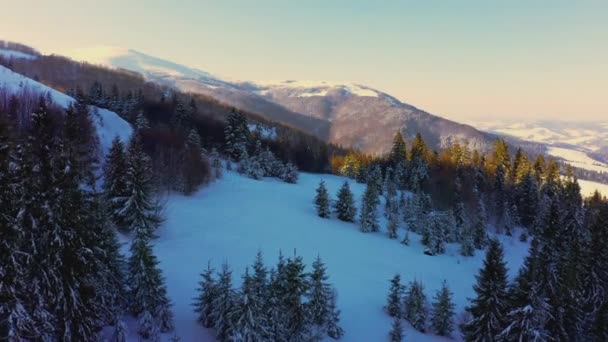 Encostas de montanha cobertas com árvores de Natal exuberantes e neve branca com um lugar para esquiar — Vídeo de Stock