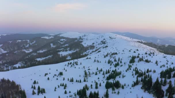 Незвичайна долина з пагорбами і горами, вкритими ялинковими лісами на тлі яскраво-рожевого заходу сонця — стокове відео