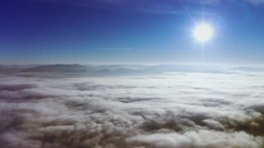 Yüksek karlı dağ, güneşli soğuk bir günde köknar ağaçlarıyla kaplı.