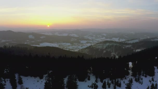 明るい燃えるような夕日を背景に、モミの森に覆われた丘や山のある特別な谷 — ストック動画