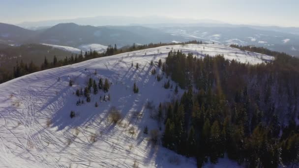 Dichte Wälder bedecken hohe Berge und deren Hänge in den Karpaten und eine sehr helle Sonne — Stockvideo