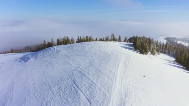 Encostas de montanha cobertas com árvores de Natal exuberantes e neve branca com um lugar para esquiar — Vídeo de Stock