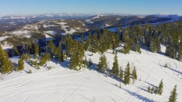 Bosques vacíos cubiertos de nieve en laderas blancas como la nieve de montañas y colinas en el Valle de los Cárpatos — Vídeos de Stock