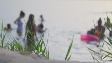 Reed yaprakları rüzgardan hareket eder bir uçurumda gölün ve günbatımının arka planına karşı
