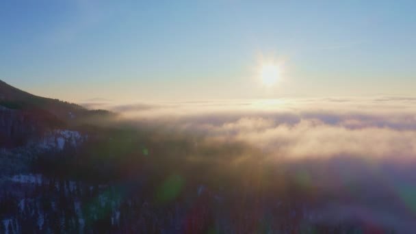 Misty Valley sobre montañas cubiertas de nieve y bosques verdes — Vídeo de stock