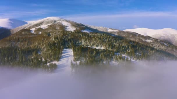 Misty vallei over besneeuwde bergen en groene bossen — Stockvideo