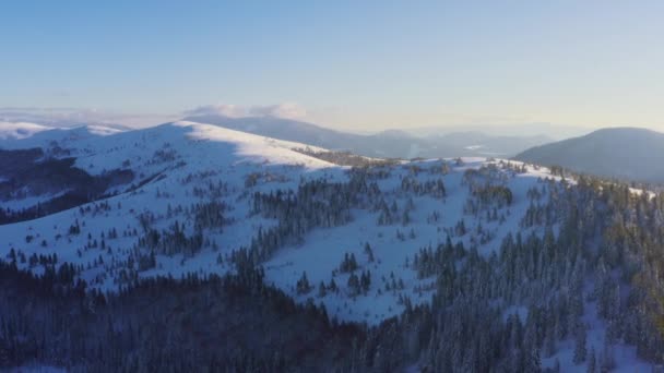 Alta montanha nevada coberta de abetos perenes em um dia frio ensolarado — Vídeo de Stock