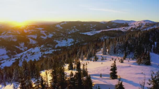 Um vale extraordinário com colinas e montanhas cobertas de florestas de abetos no pano de fundo de um pôr-do-sol ardente — Vídeo de Stock