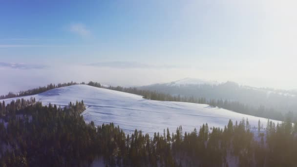 Гірські схили вкриті пишними ялинками і білосніжним снігом з місцем для катання — стокове відео
