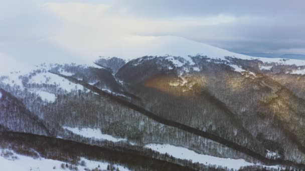 Hoge besneeuwde berg bedekt met altijd groene dennenbomen op een zonnige koude dag — Stockvideo