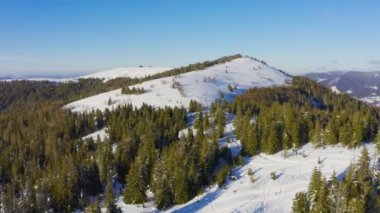Karla kaplı küçük bir açıklık, pek çok kayak yolu ve akşam gökyüzünün arka planında tek bir Noel ağacı var.