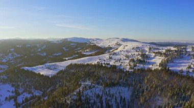 Yüksek karlı dağ, güneşli soğuk bir günde köknar ağaçlarıyla kaplı.