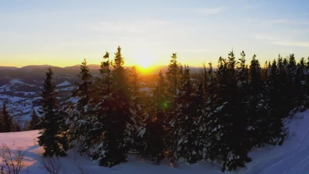 Um vale extraordinário com colinas e montanhas cobertas de florestas de abetos no pano de fundo de um pôr-do-sol ardente — Vídeo de Stock