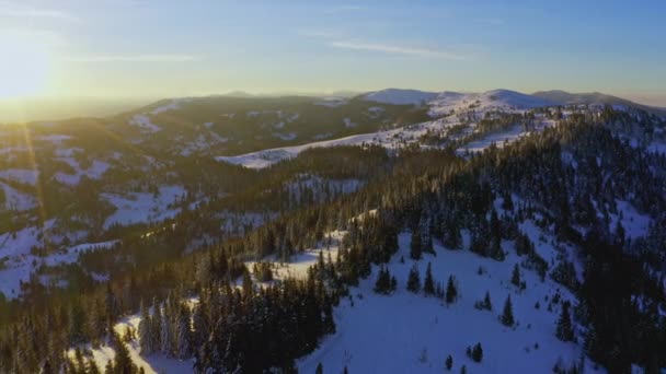 Alta montaña nevada cubierta de abetos siempreverdes en un día soleado y frío — Vídeo de stock