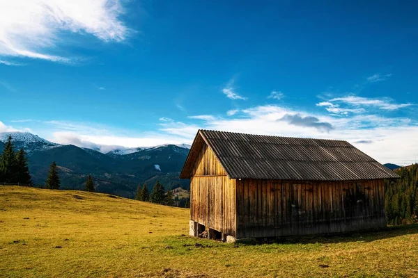 カルパチア山脈と小さな村を覆う美しい森 — ストック写真