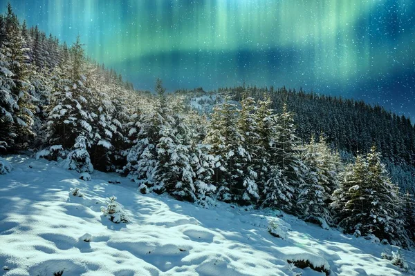 Berge und Hügel der Karpaten mit schneeweißen Schneeverwehungen und immergrünen Bäumen im Licht der hellen Nordlichter — Stockfoto