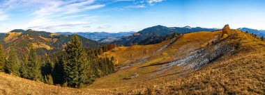Karpat dağlarını kaplayan güzel ormanlar ve küçük bir köy.