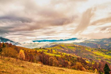 Gökyüzündeki tepelerde, ormanlarda ve küçük bir köyde yaşayan Karpatların güzel doğası.