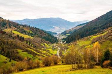 Karpatlar 'ın ılık dağlarındaki renkli ormanlar kalın gri sisle kaplıdır.