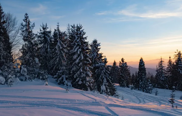 Прекрасний вид на лижний схил на сонячну зиму — стокове фото