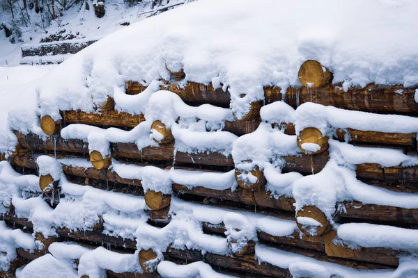 Fortalecimiento de troncos, pared de madera bajo la nieve en invierno —  Fotos de Stock