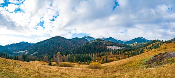 Krásné Barevné Lesy Pokrývající Karpatské Hory Malou Vesničku Pozadí Teplého — Stock fotografie