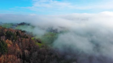 Bulutlu sabah beyaz sisi karışık bir sonbahar karanlık sık ormanının üzerinde yaprak döken ağaçlar ve parlak güneş ışınları altında açık mavi bir gökyüzüne karşı ilk ateşler. 4K UHD video gerçek zamanlı