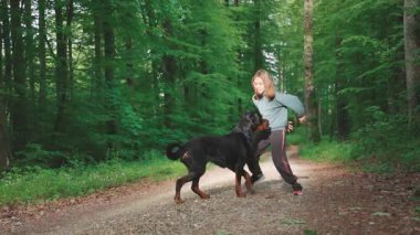 Neşeli küçük kız yeşil bahar yaprak döken ormanında özel bir köpek oyuncağıyla komik siyah Rottweiler köpeğiyle güneş ışığında çamurlu bir yolda oynuyor. 4k video yavaş çekim UHD