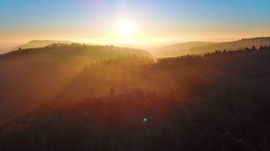 Yoğun, vahşi bir dağ ormanındaki kozalaklı ağaçların uzun gölgeleri, berrak bir gökyüzünde, kör edici, parlak bir akşam güneşinin arka planına karşı. Video 4k UHD eş zamanlı