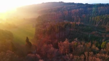 Yoğun, vahşi bir dağ ormanındaki kozalaklı ağaçların uzun gölgeleri, berrak bir gökyüzünde, kör edici, parlak bir akşam güneşinin arka planına karşı. Video 4k UHD eş zamanlı