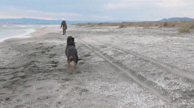 Ceketli enerjik neşeli genç kız mavi deniz kenarındaki kumlu sahilde sevgili sadık arkadaşı Rottweiler cinsinin büyük mutlu köpeği 4K UHD yavaş çekim videosu