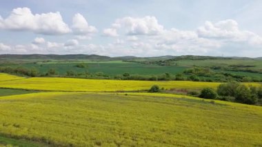 Parlak geniş çiçek tarlaları, dağda küçük bir bitki ve çayır vadisinde küçük boş bir köy ve bulutlu mavi gökyüzü. UHD 4K video gerçek zamanlı
