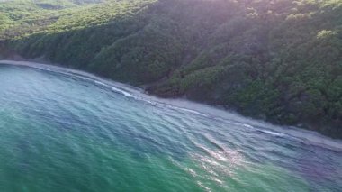 A wild empty sandy beach between a rocky sharp large ledge, covered with green fresh new vegetation, and a deep calm cool Black Sea under a clear blue sky. UHD 4K video realtime