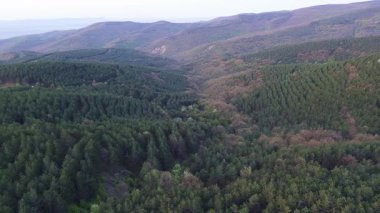 Birds eye view of spring blooming green meadows and wooded hilly slopes of the Balkan Mountains, under the light of a bright cloudy warm day in the country of Bulgaria. UHD 4K video realtime