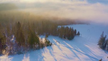 Karpatya dağları üzerindeki gizemli sisli vadi kar beyazı ve yeşil çam ormanları ile kaplı, UHD 4K video.