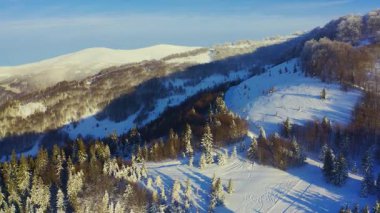 Güneşli, güneşli, aydınlık bir günde, her yeri yeşil yazma ağaçlarıyla kaplı yüksek dik karlı dağ, UHD 4K video.