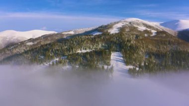 Karpatya dağları üzerindeki gizemli sisli vadi kar beyazı ve yeşil çam ormanları ile kaplı, UHD 4K video.