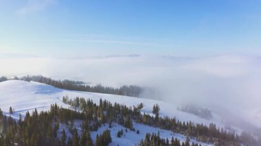 Dik dağ yamaçları yemyeşil ağaçlar ve kar beyazı yumuşak karlarla kaplı kayakçılar ve snowboardcular için inecek bir yer, UHD 4K video.