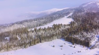 Güneşli, güneşli, aydınlık bir günde, her yeri yeşil yazma ağaçlarıyla kaplı yüksek dik karlı dağ, UHD 4K video.