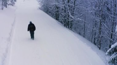 Sıcak giyimli yorgun bir turist, karla kaplı bir orman yolunda, yoğun bir ladin ormanında, UHD 4K klibinde, sakin bir kar yağışı altında yavaşça yürüyor.