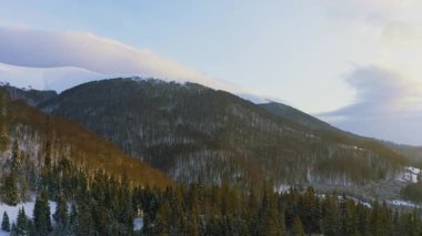 Güneşli, güneşli, aydınlık bir günde, her yeri yeşil yazma ağaçlarıyla kaplı yüksek dik karlı dağ, UHD 4K video.