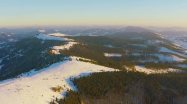 Karpatlar Vadisi 'nde kar kaplı tepeler ve dağlarla kaplı ladin ormanları soğuk, mor ve pembe bir günbatımının arka planına karşı.